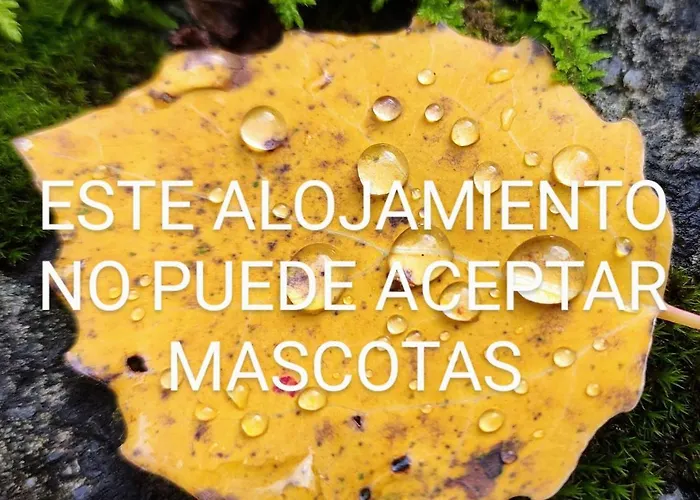 Pleta Del Mon Atico