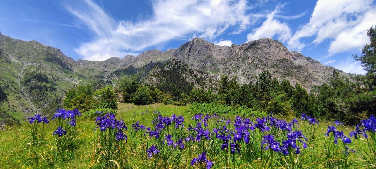 Apartamento Pleta Del Mon Atico Benasque